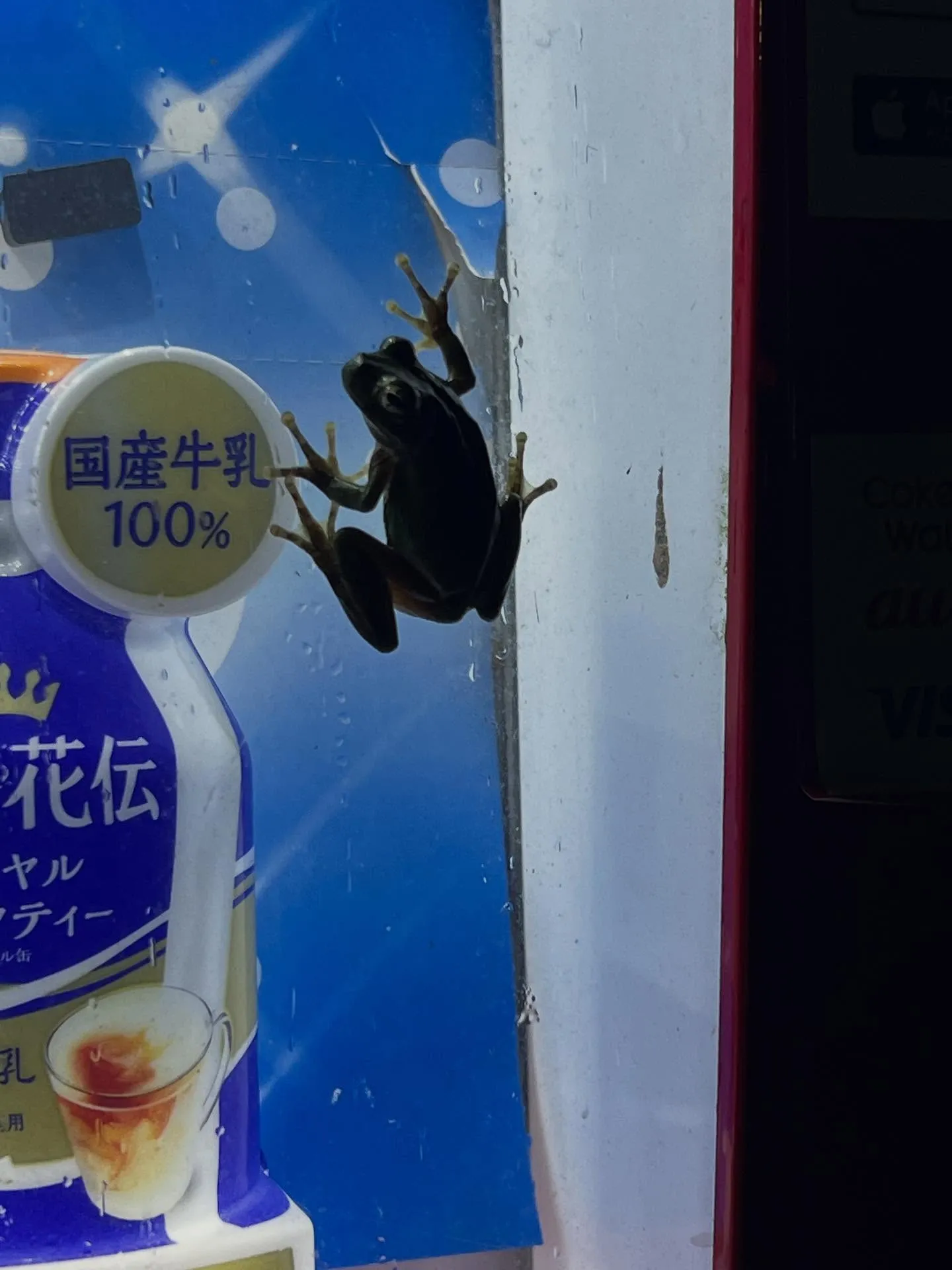 岡山合宿　2日目夜