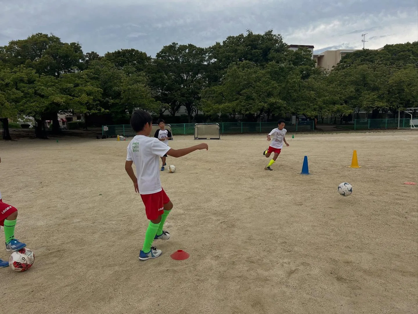 水曜日　白鷺アカデミー