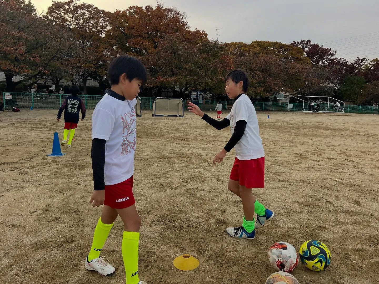 水曜日 白鷺アカデミー