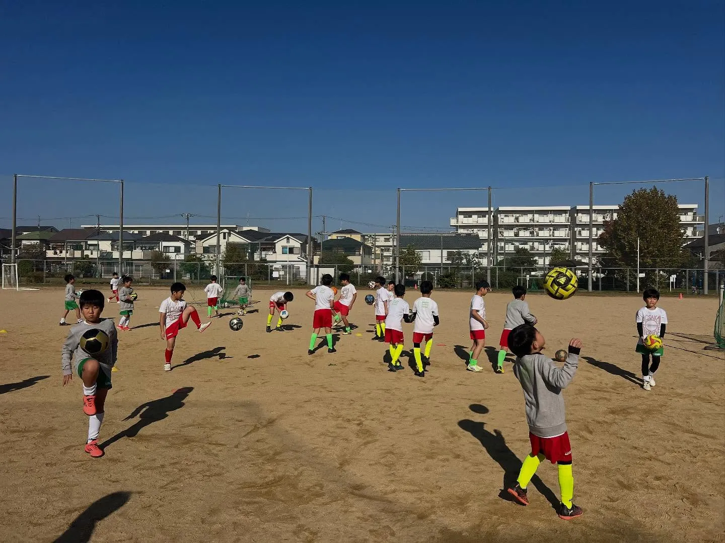土曜日 向丘アカデミー