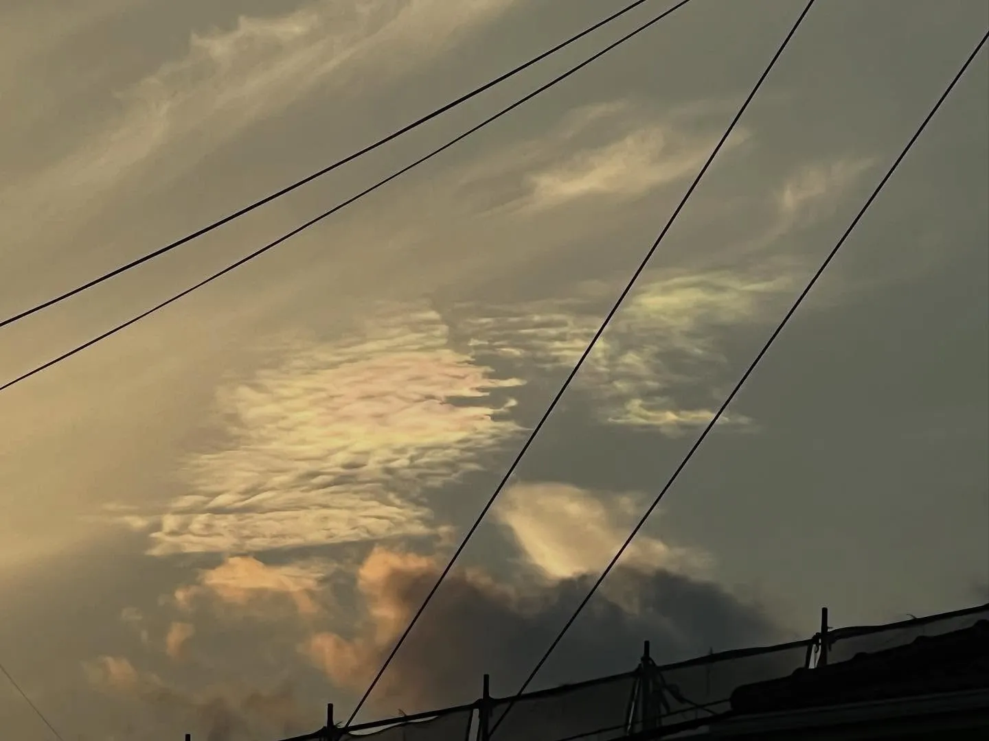 月曜日 浜石アカデミー