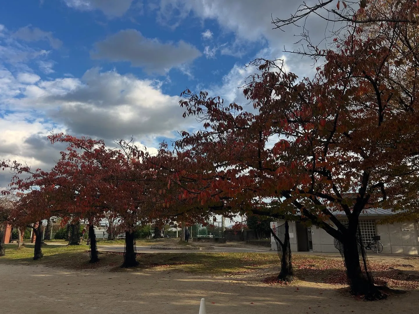 水曜日　白鷺アカデミー