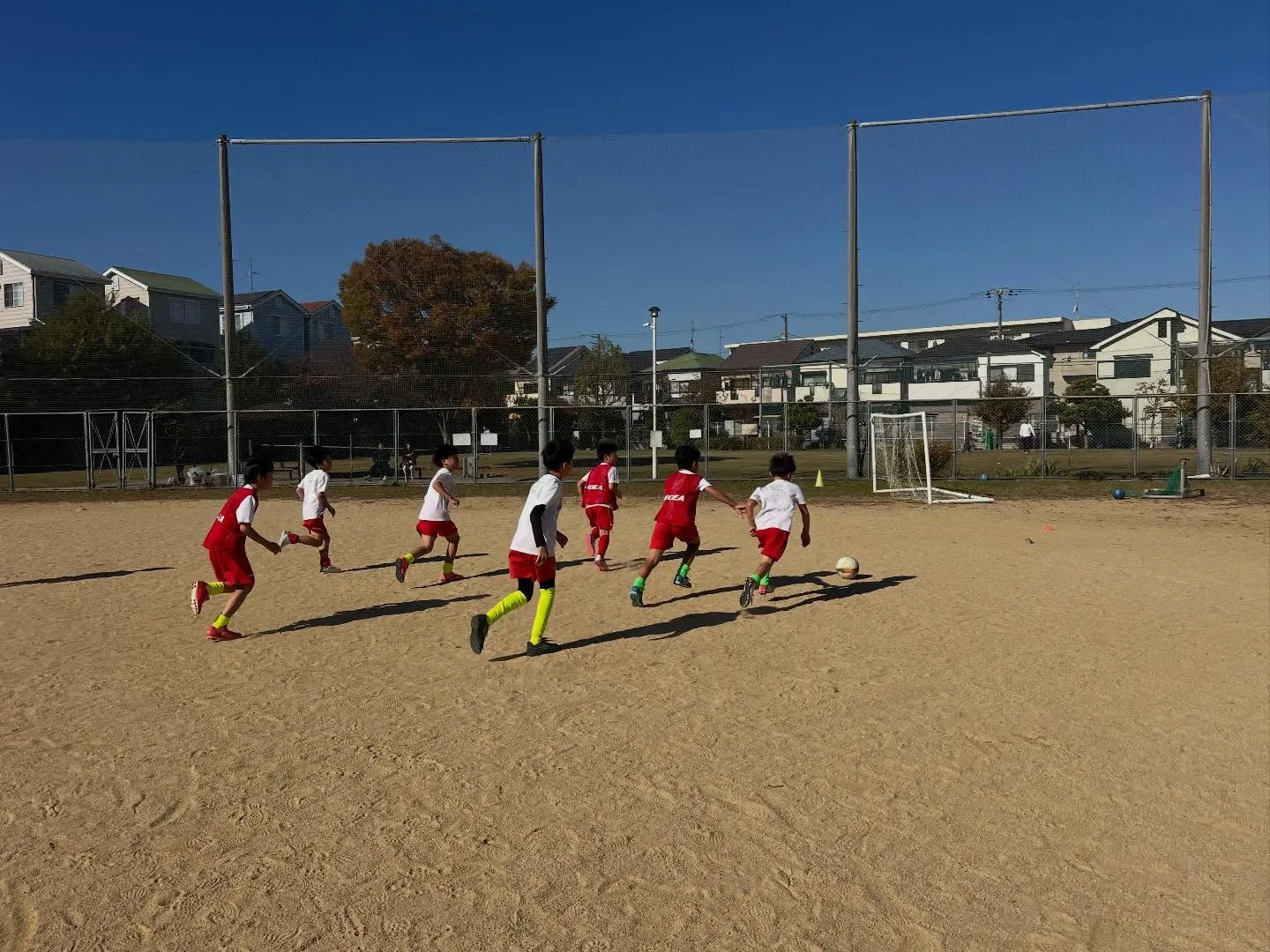 土曜日 向丘アカデミー
