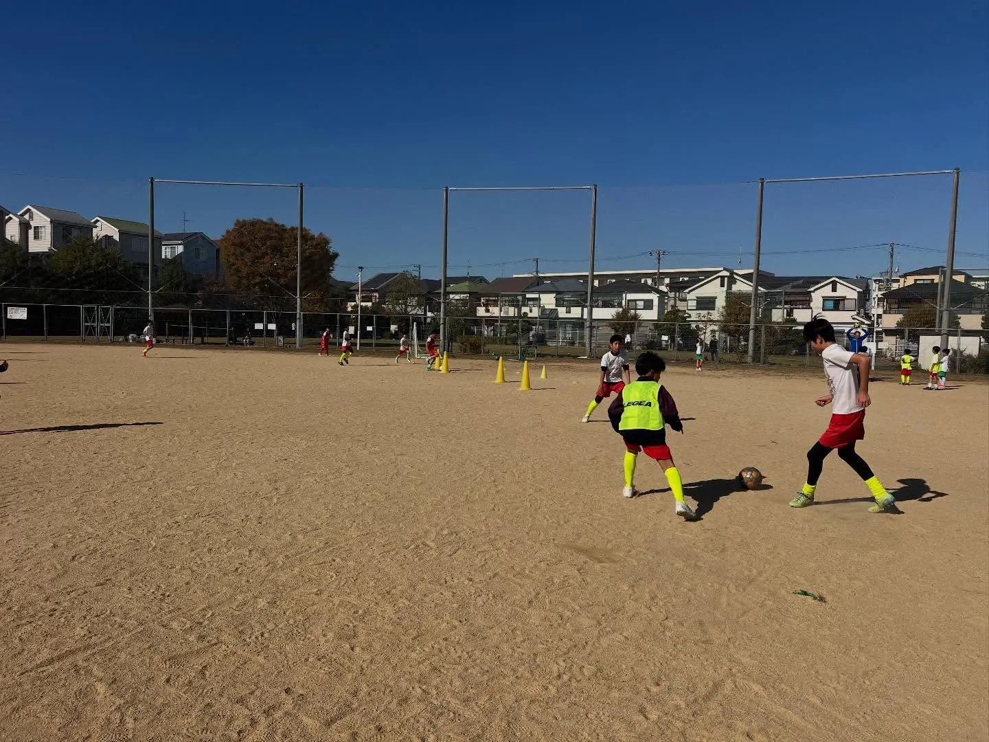 土曜日 向丘アカデミー