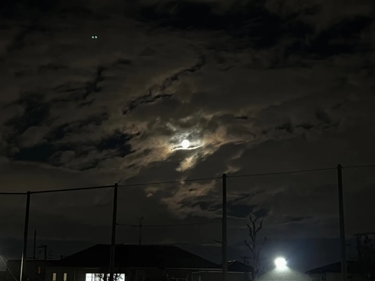 金曜日　尼池アカデミー