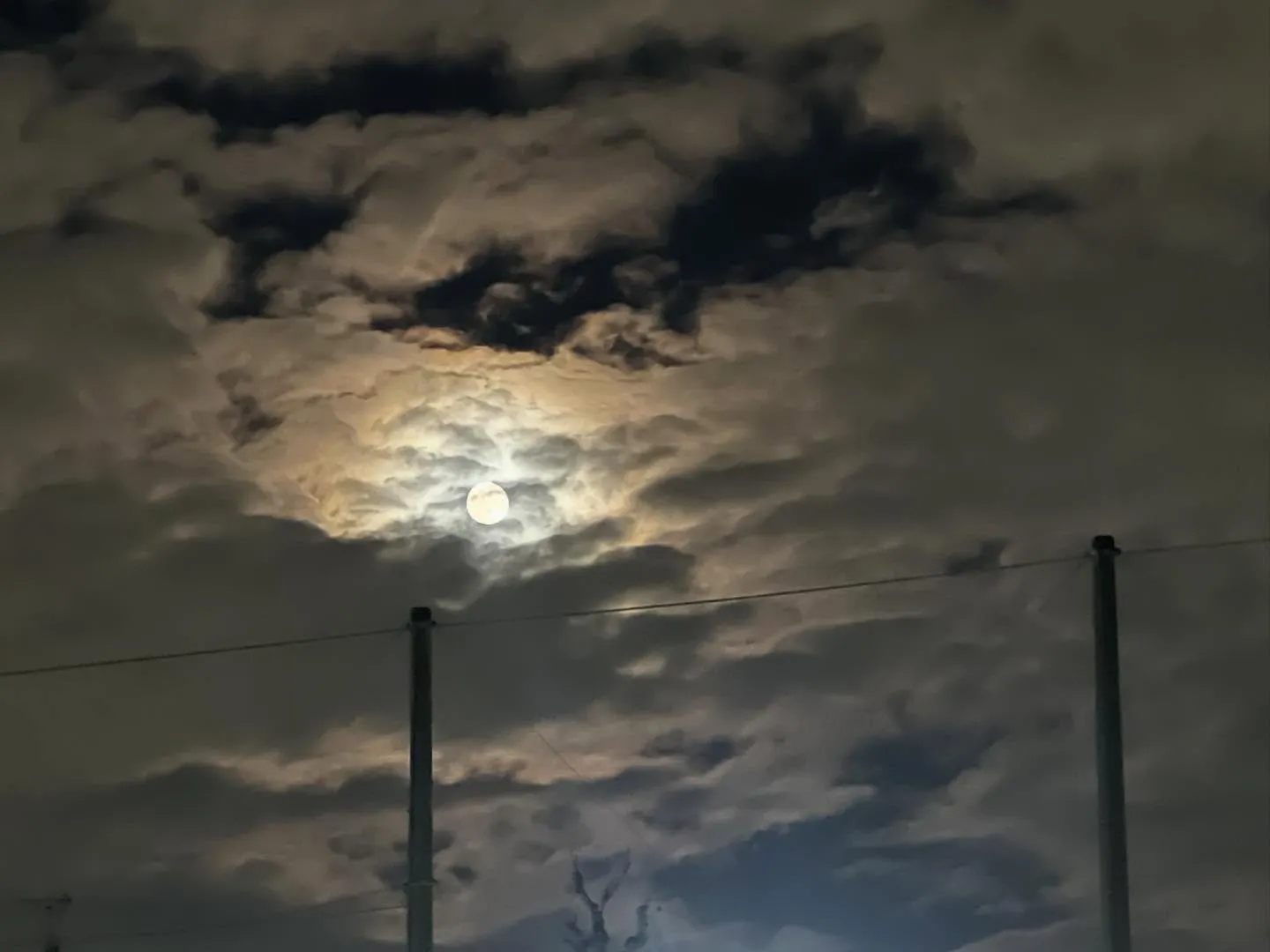 金曜日　尼池アカデミー