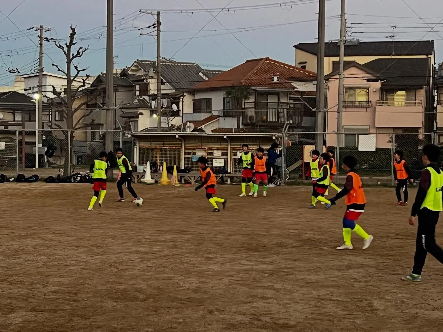 フリーアカデミー