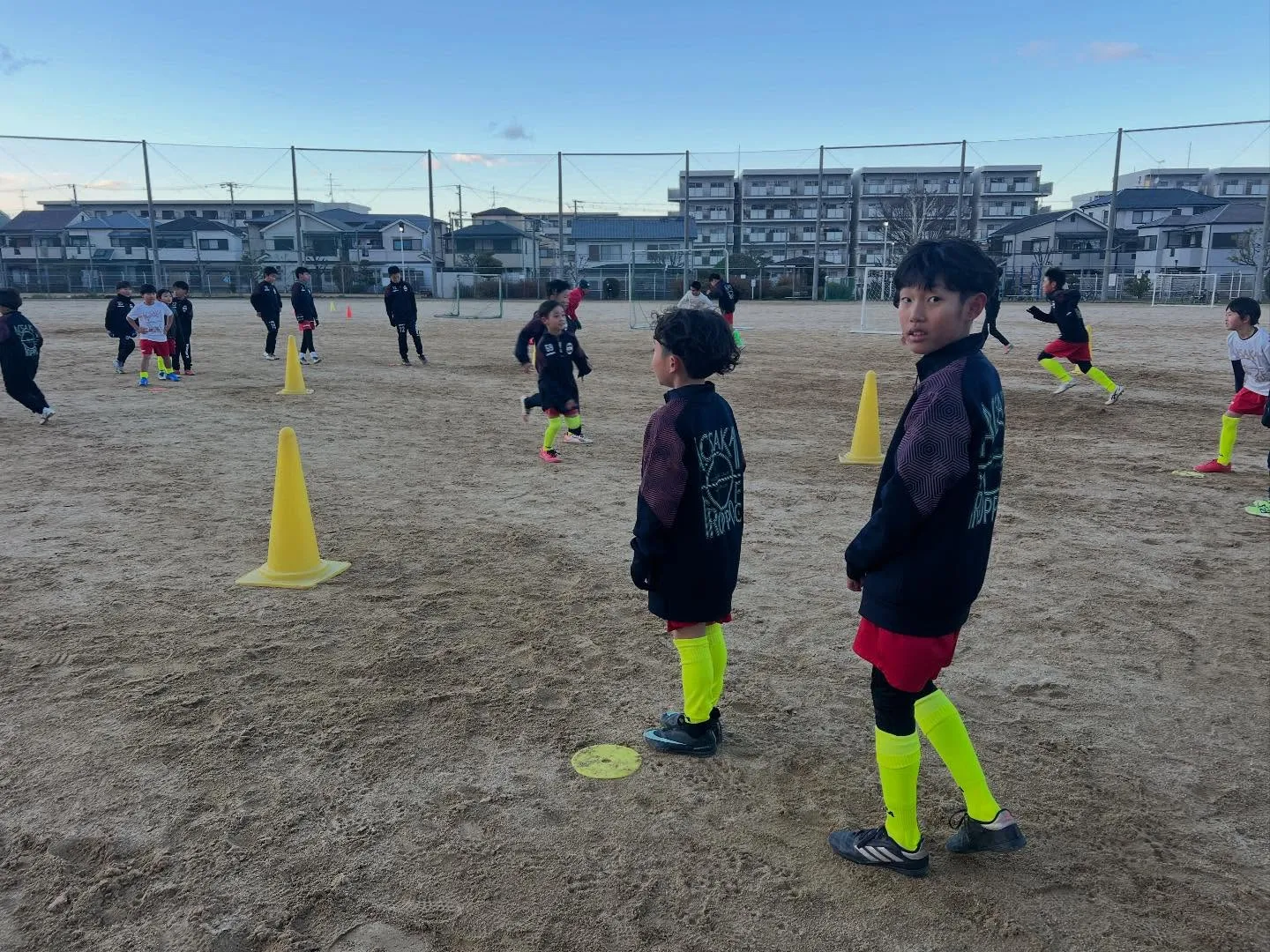 フリーアカデミー