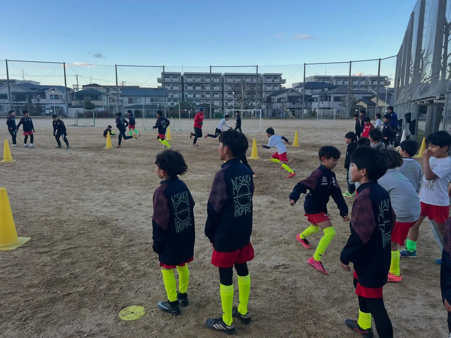 フリーアカデミー