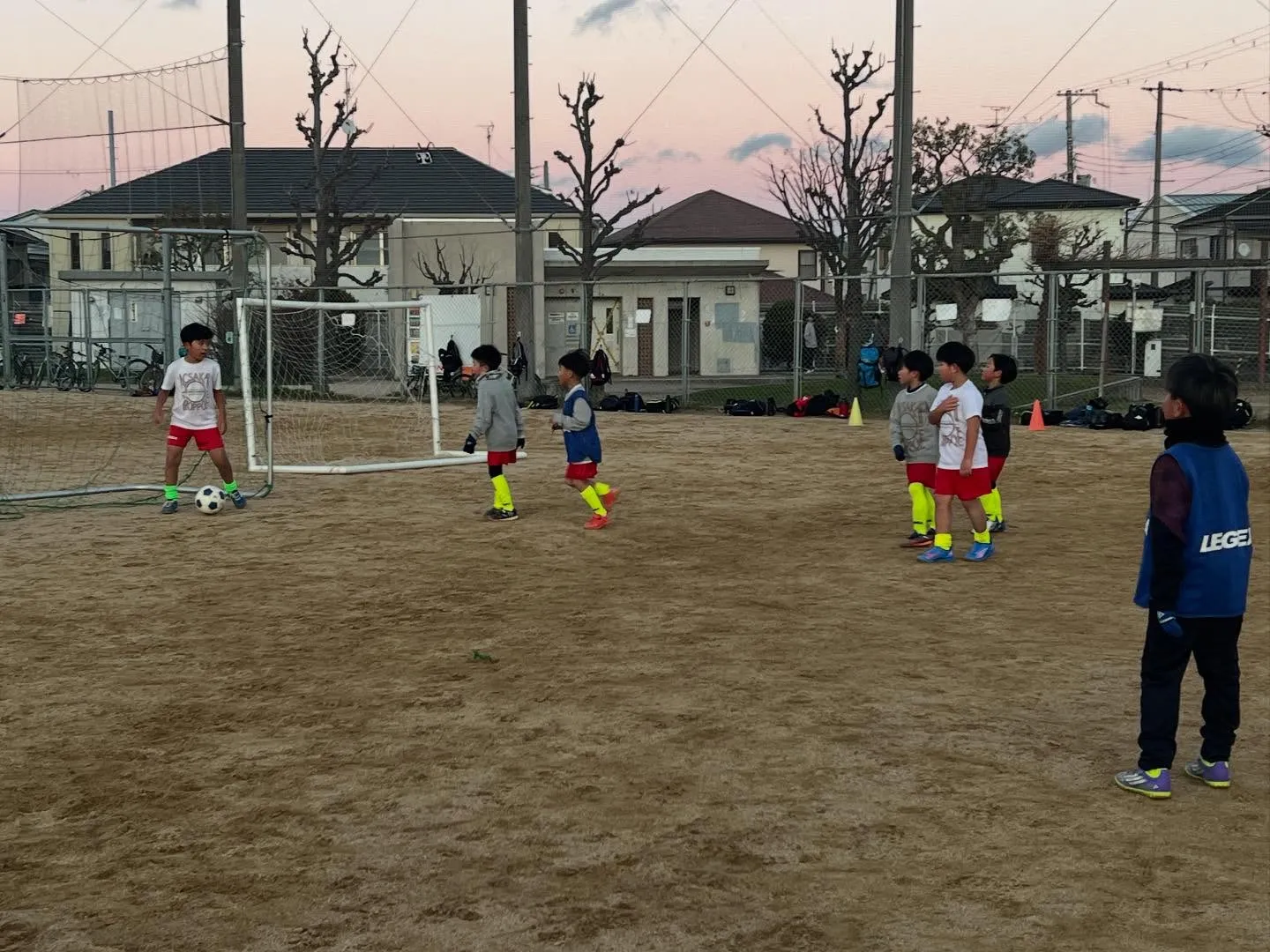 フリーアカデミー