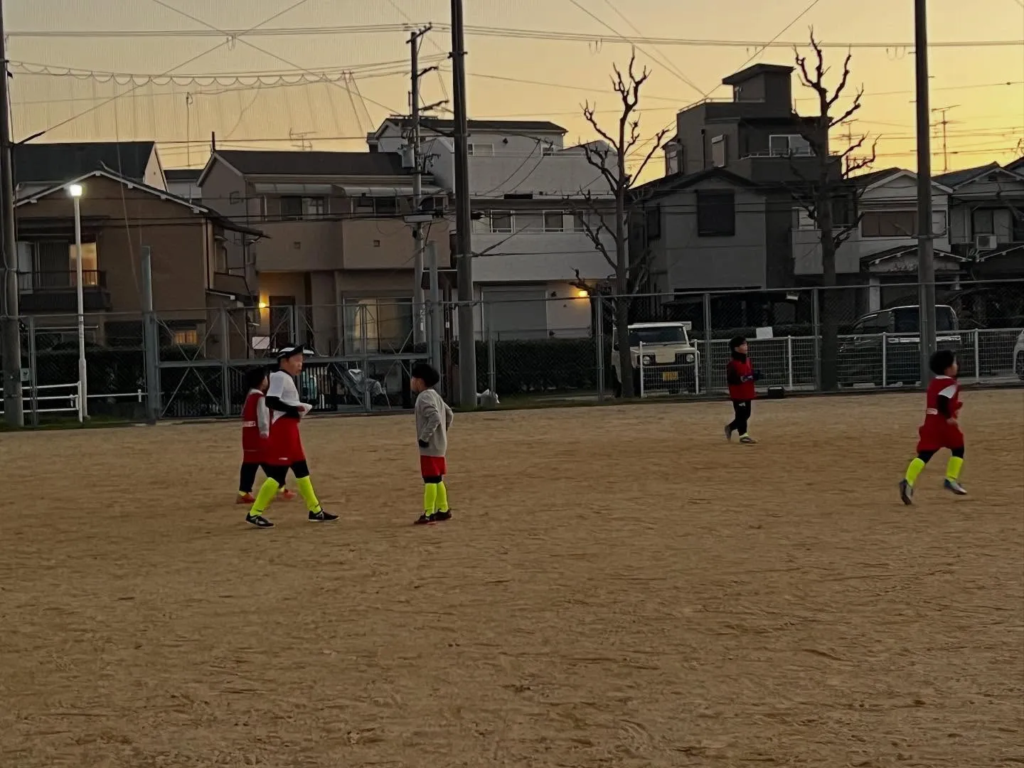 フリーアカデミー