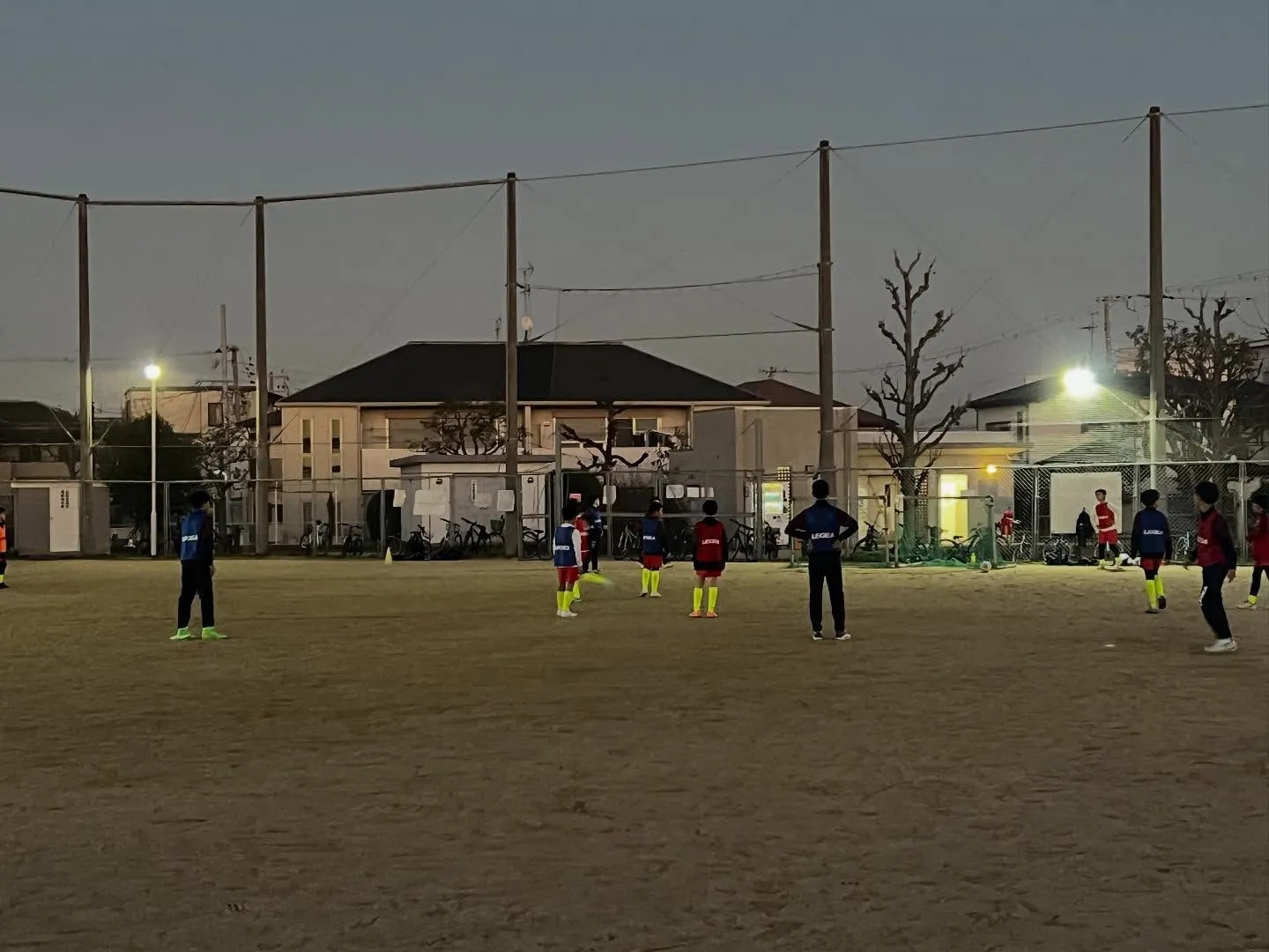 フリーアカデミー