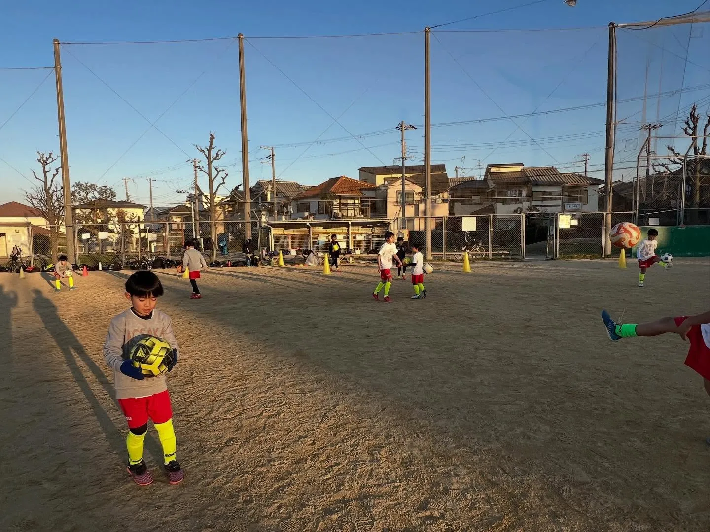 フリーアカデミー