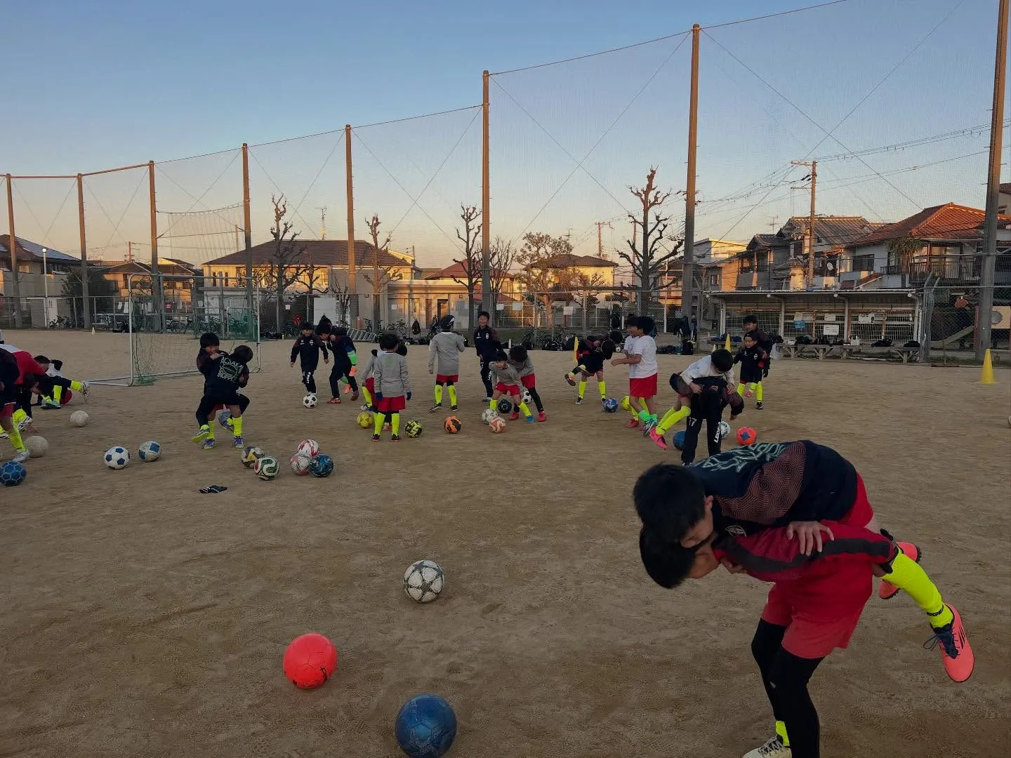 フリーアカデミー