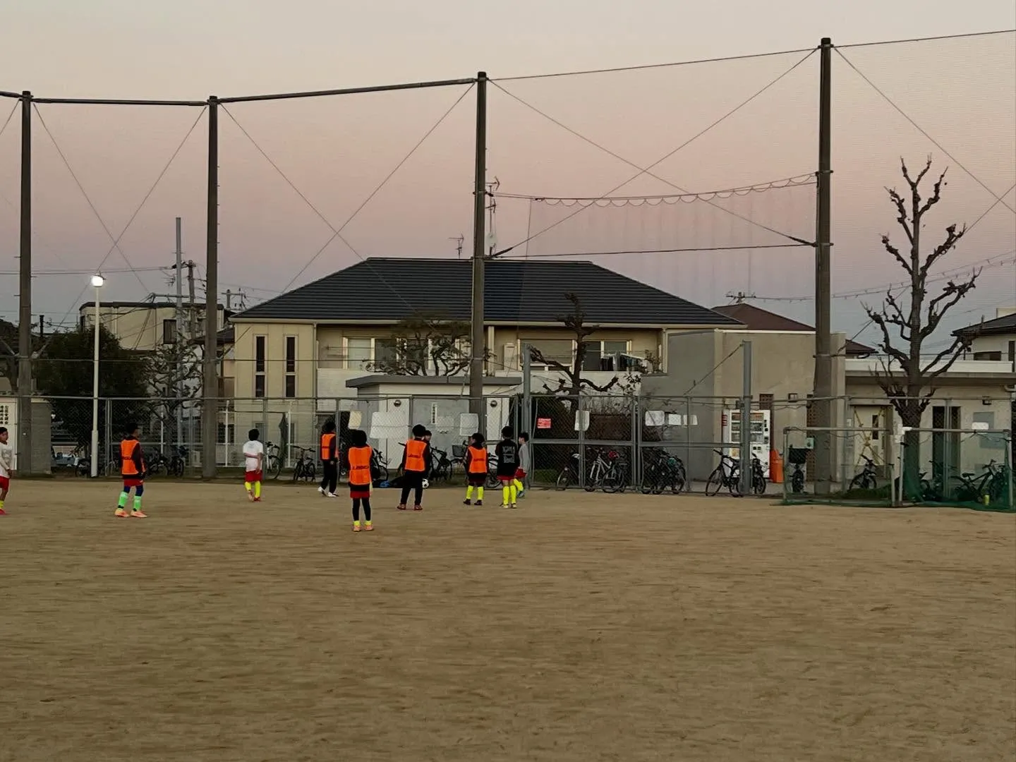 フリーアカデミー