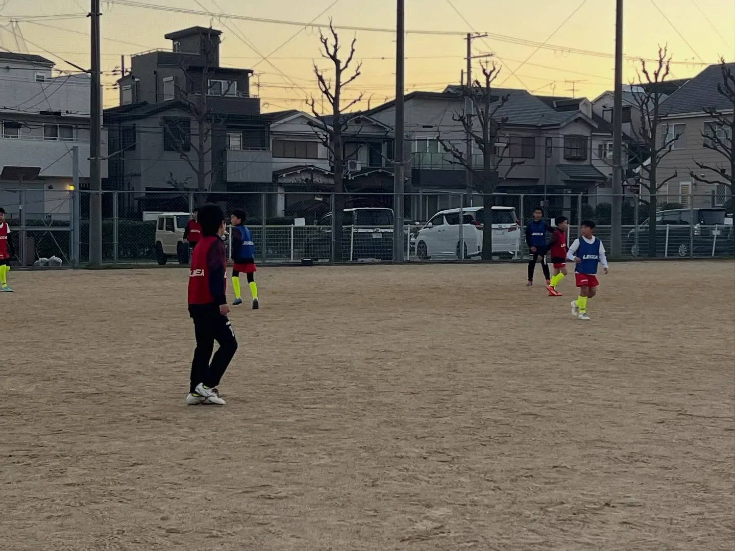 フリーアカデミー