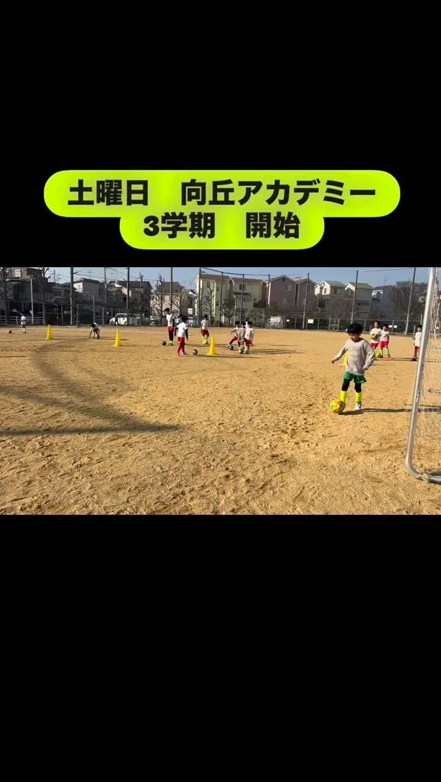 土曜日　向丘アカデミー