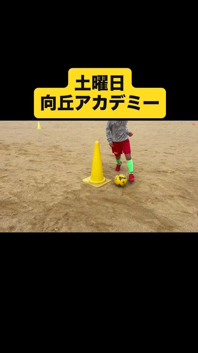 土曜日　向丘アカデミー