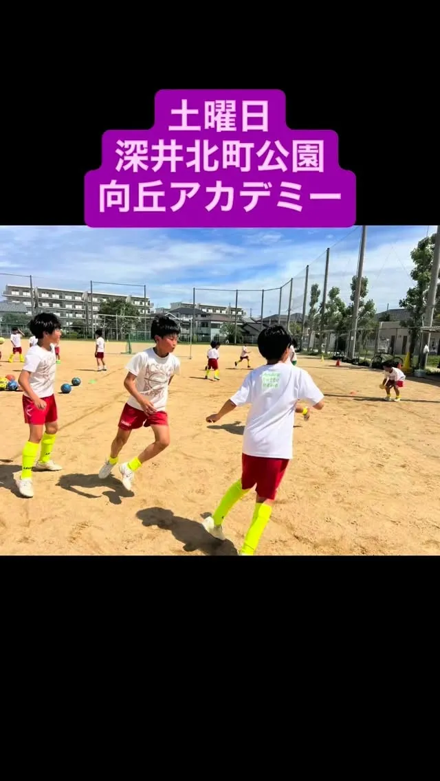土曜日　向丘アカデミー