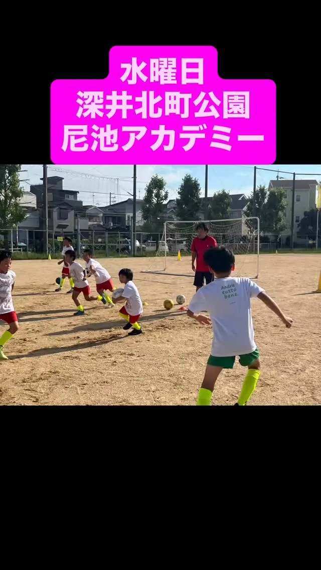 水曜日　尼池アカデミー