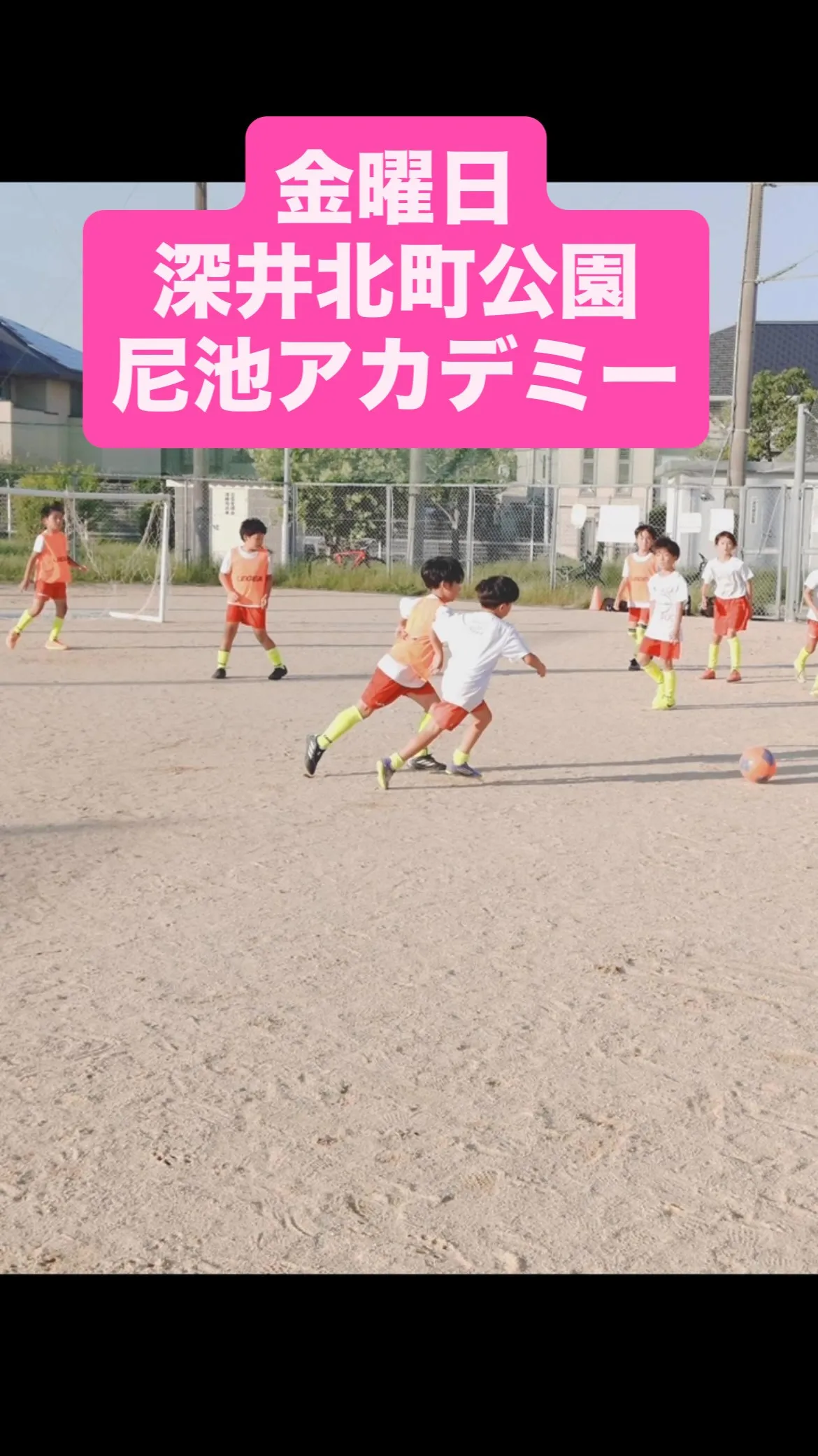 金曜日　尼池アカデミー