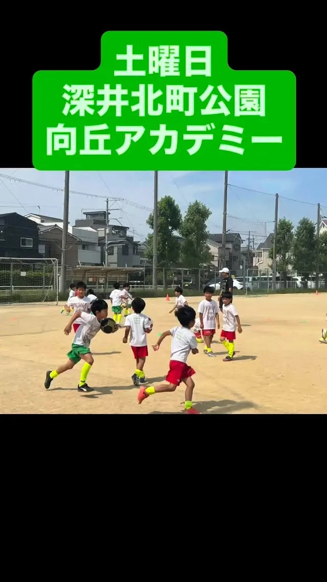 土曜日　向丘アカデミー