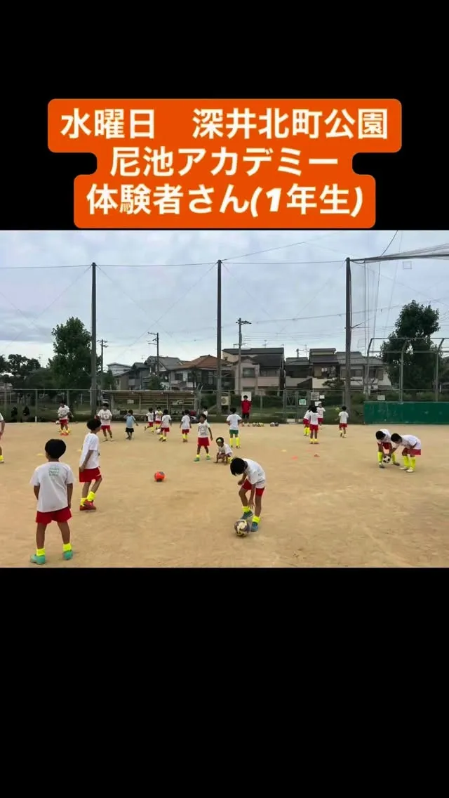 水曜日　尼池アカデミー
