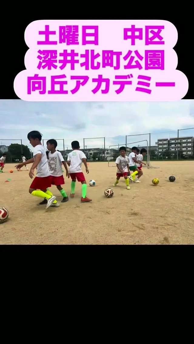 土曜日　向丘アカデミー