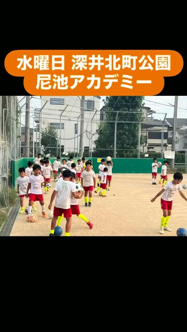 金曜日　尼池アカデミー