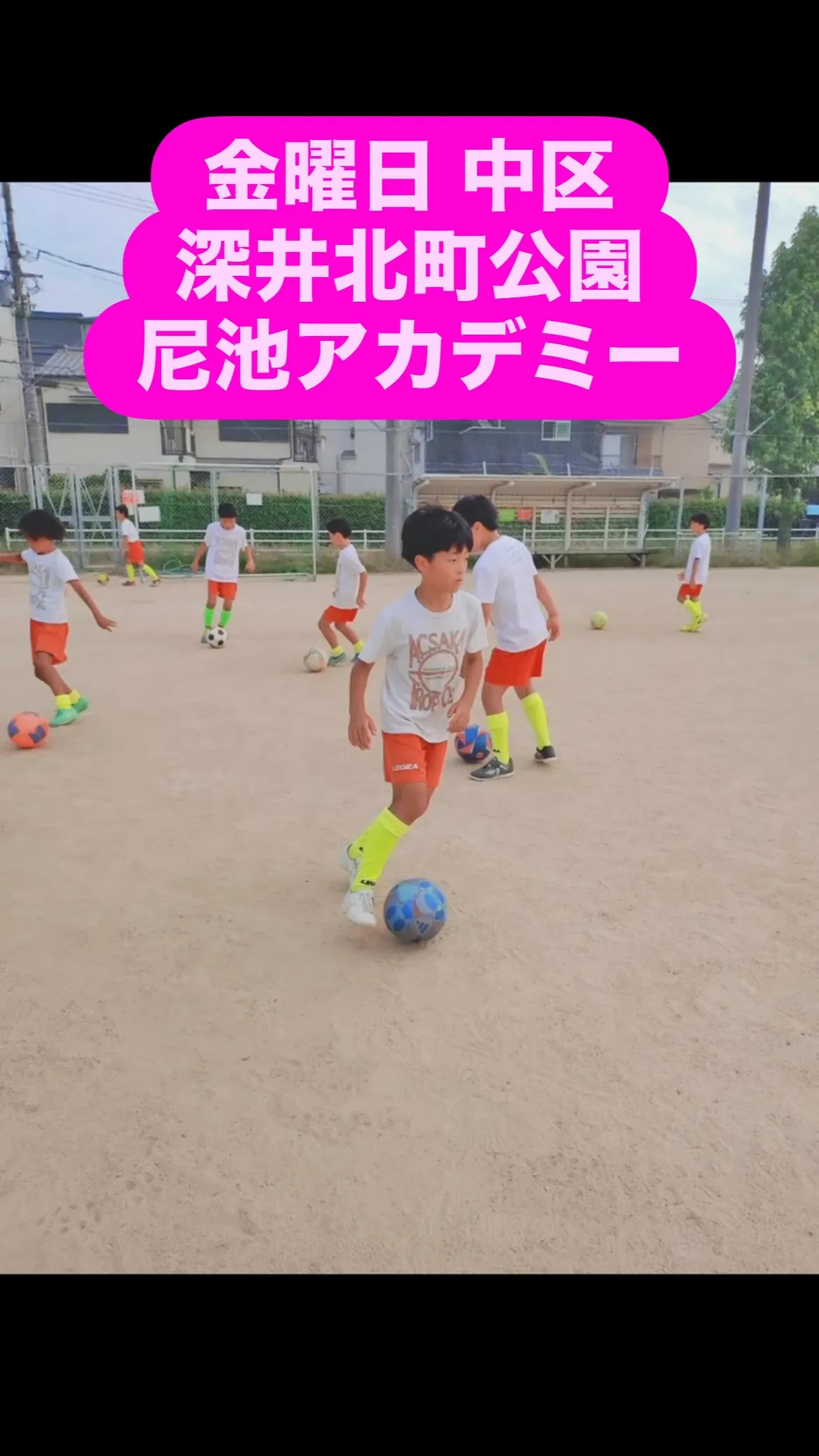 金曜日　尼池アカデミー