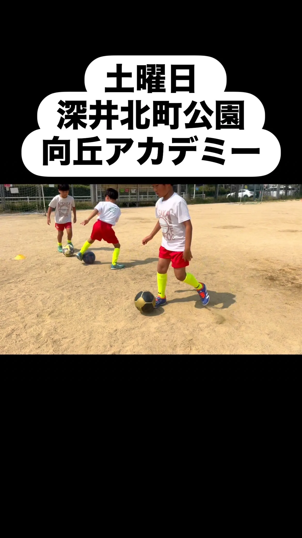 土曜日　向丘アカデミー