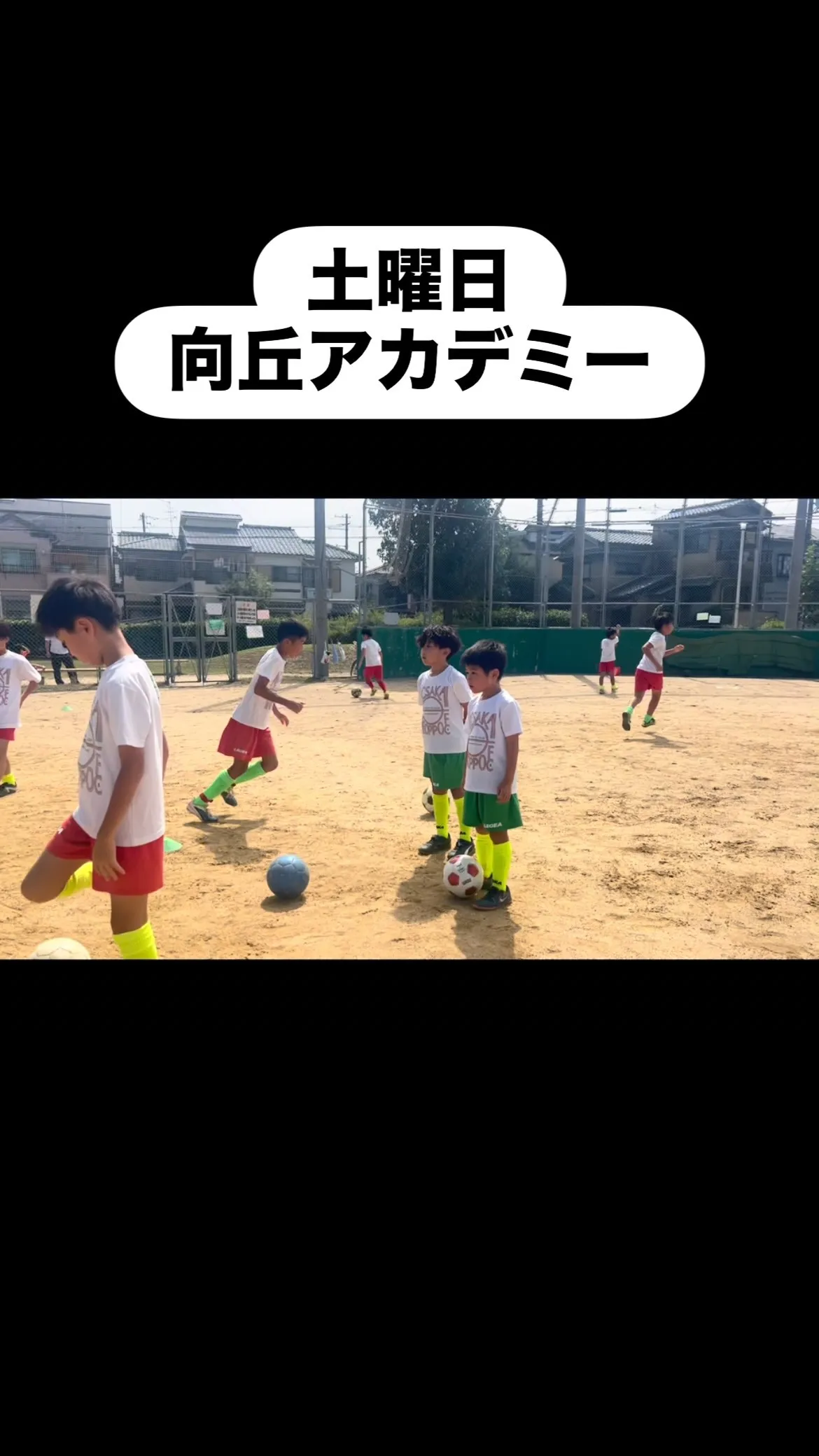 土曜日　向丘アカデミー