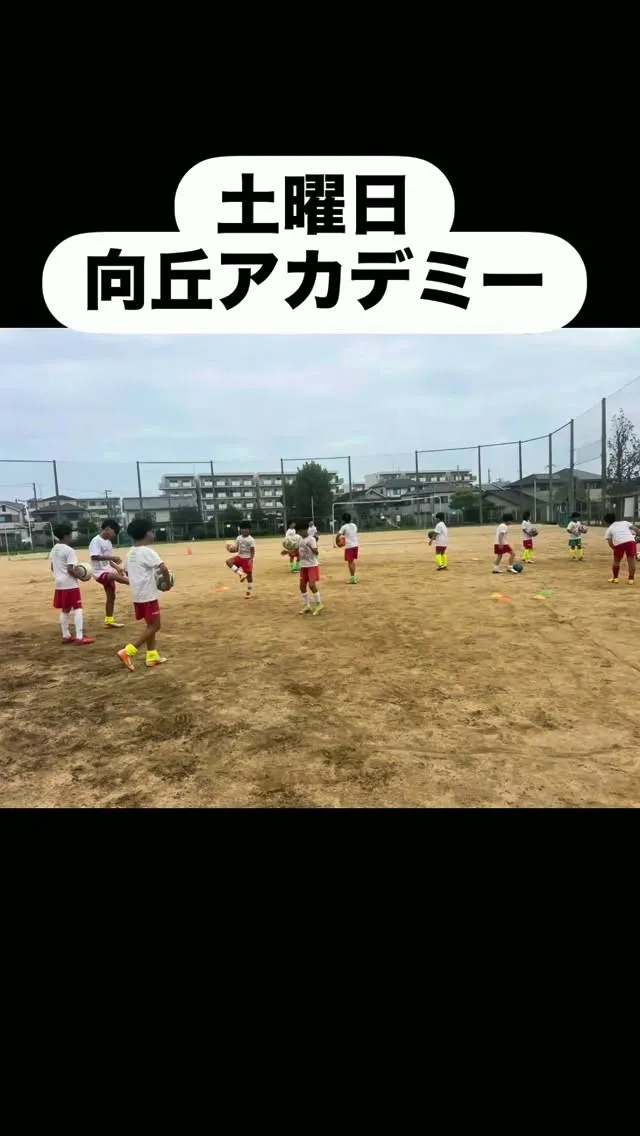 土曜日　向丘アカデミー