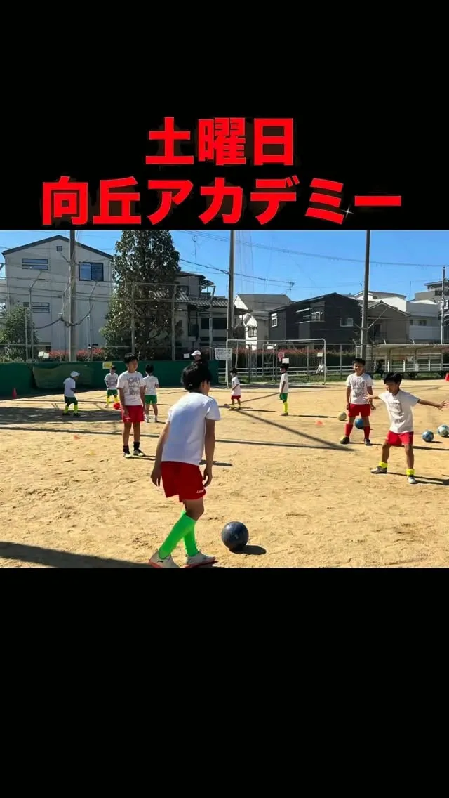 土曜日　向丘アカデミー